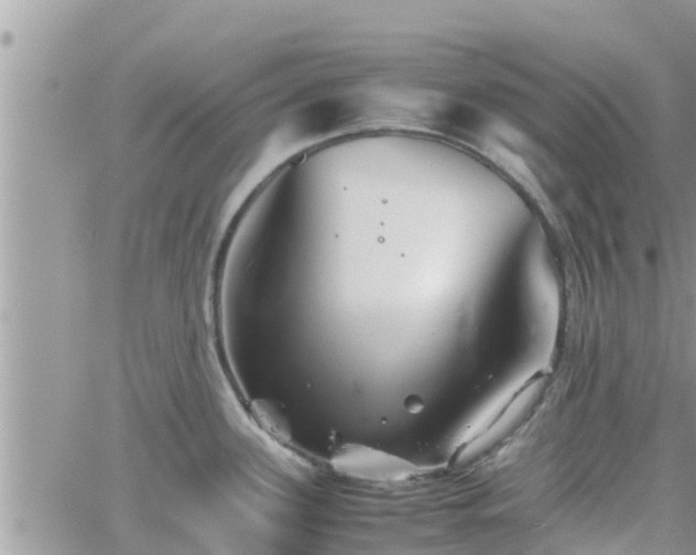 X0000062171339200512121231