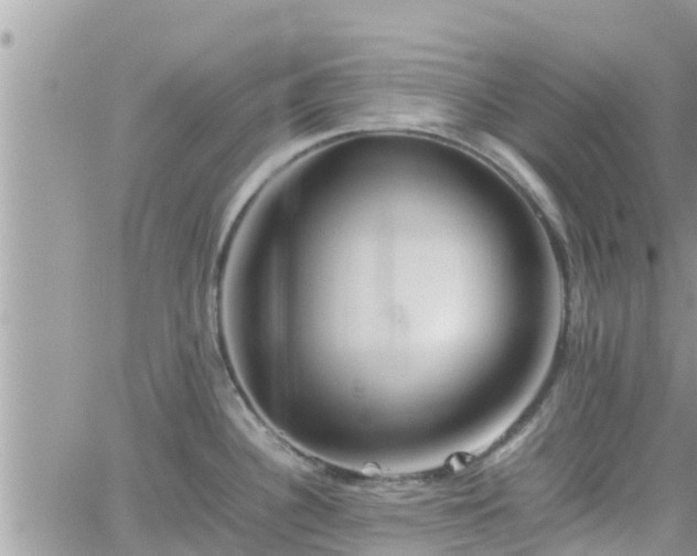 X0000062171340200512121231