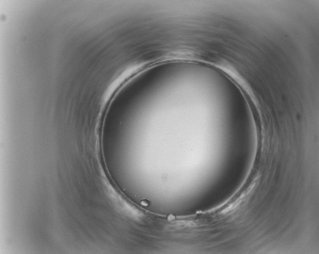 X0000062171341200512121231