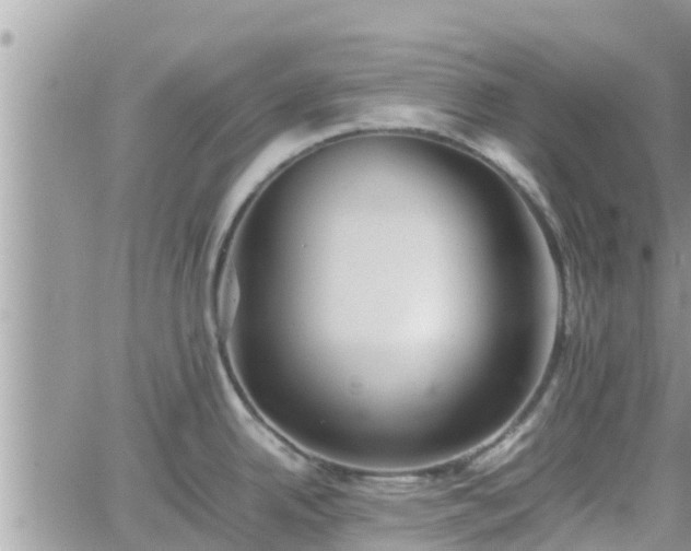 X0000062171342200512121231