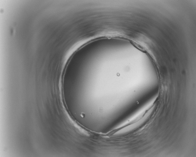 X0000062171343200512121231