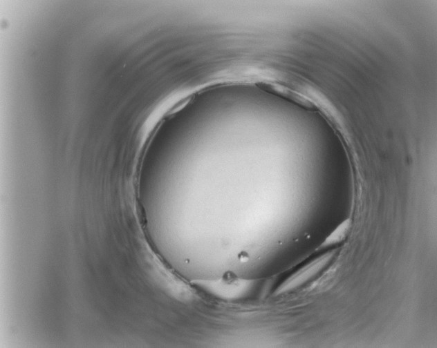 X0000062171344200512121231