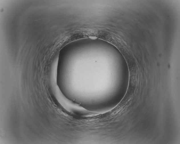 X0000062171345200512121230