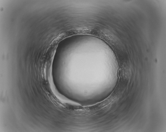 X0000062171346200512121230