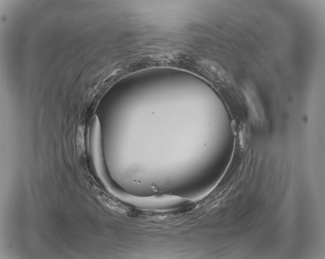 X0000062171347200512121230