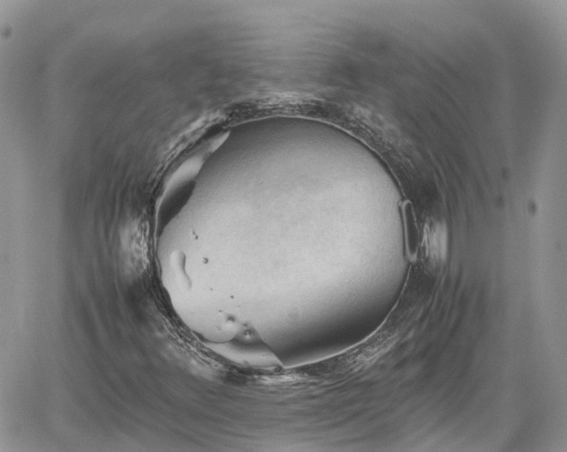 X0000062171348200512121230