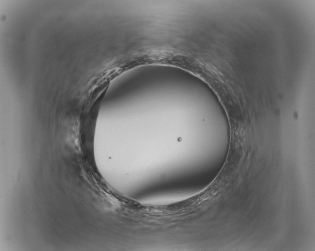 X0000062171349200512121230