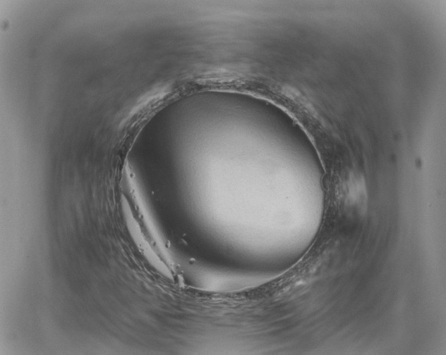 X0000062171350200512121230