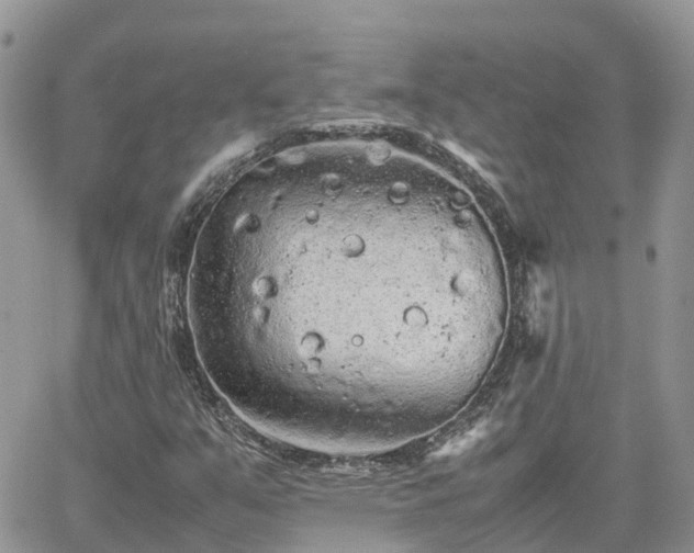 X0000062171351200512121230