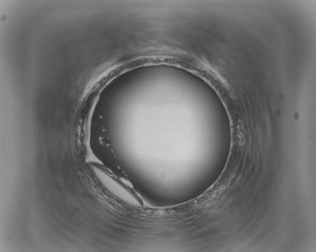 X0000062171352200512121230