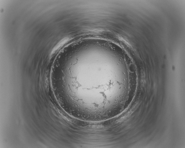 X0000062171354200512121230