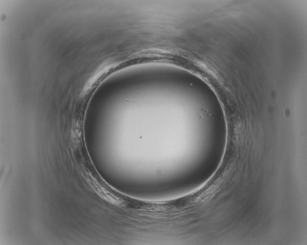 X0000062171355200512121230