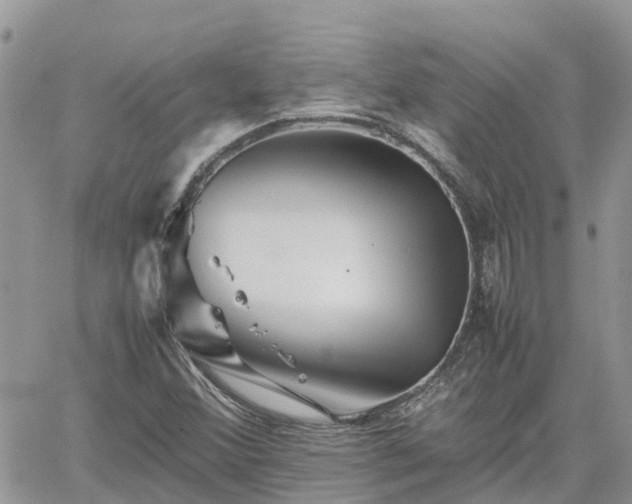 X0000062171356200512121230