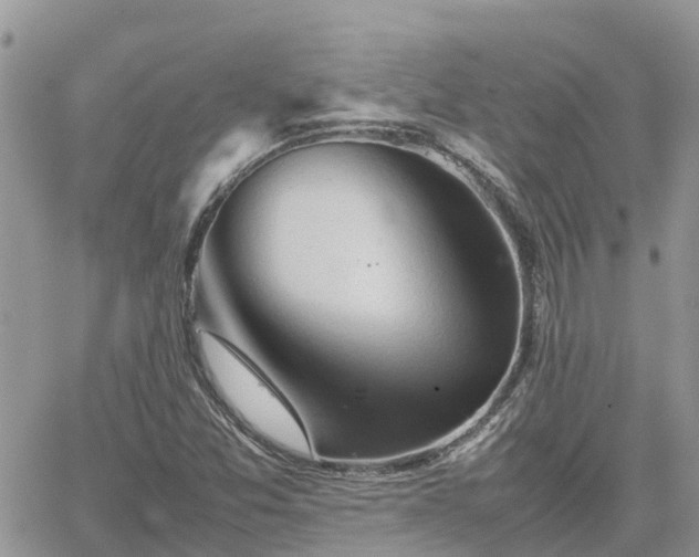 X0000062171357200512121230