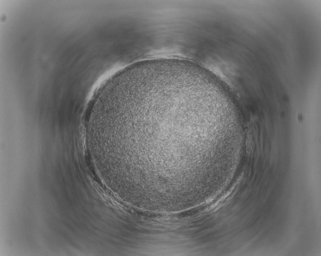 X0000062171358200512121230