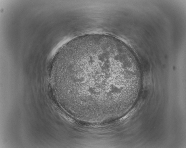 X0000062171359200512121230