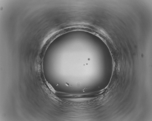 X0000062171360200512121230