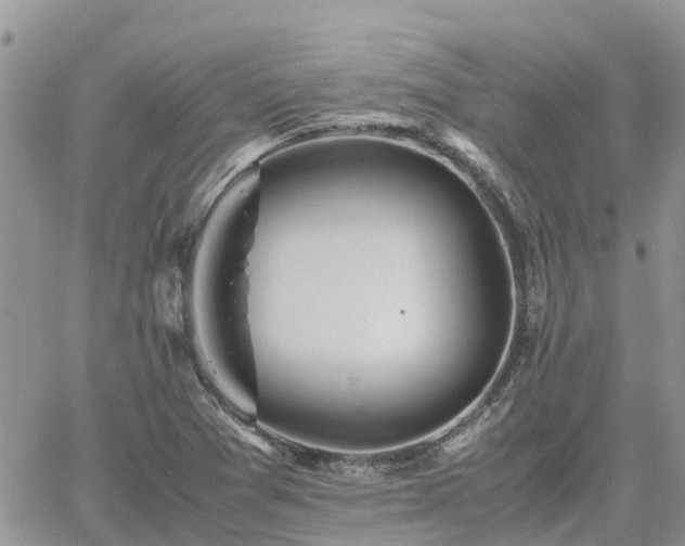 X0000062171361200512121230