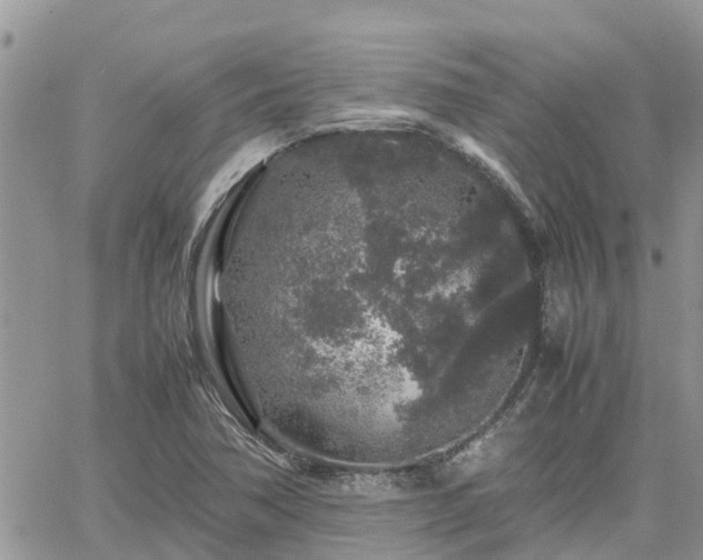 X0000062171362200512121230