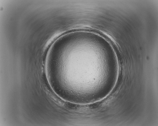 X0000062171363200512121230