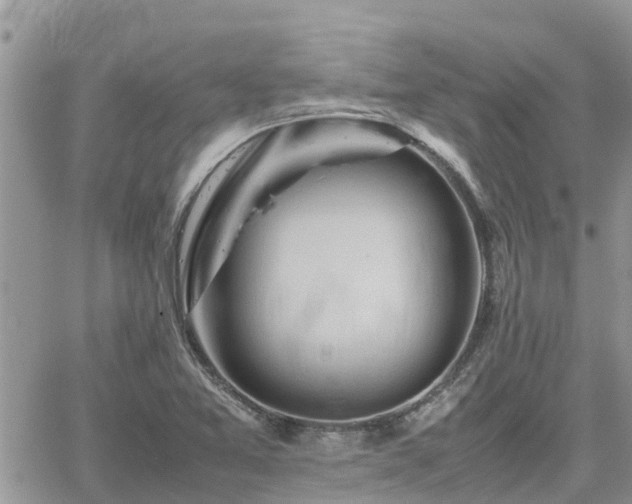 X0000062171365200512121230