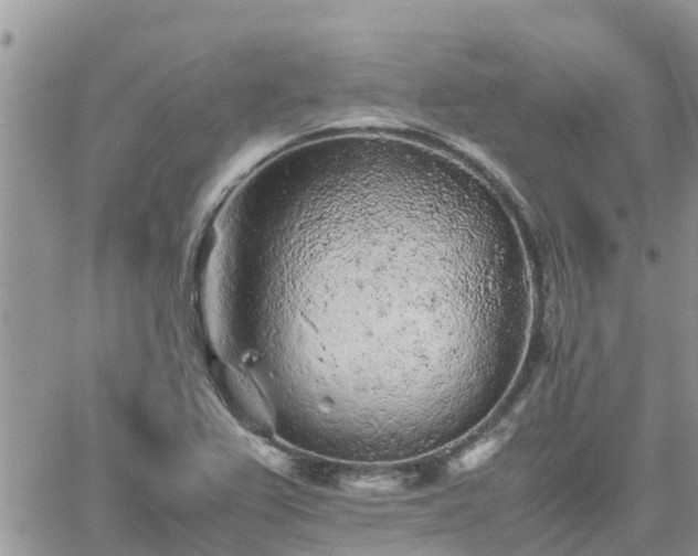 X0000062171367200512121230