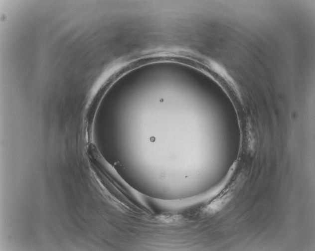 X0000062171368200512121229