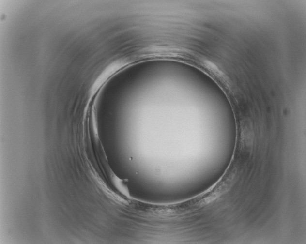 X0000062171370200512121229