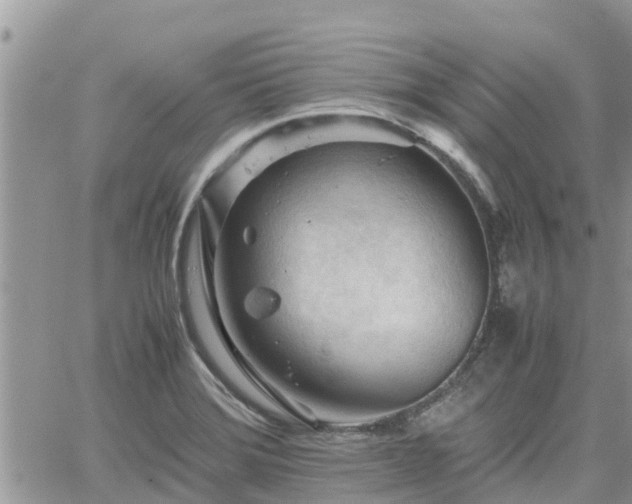 X0000062171372200512121229