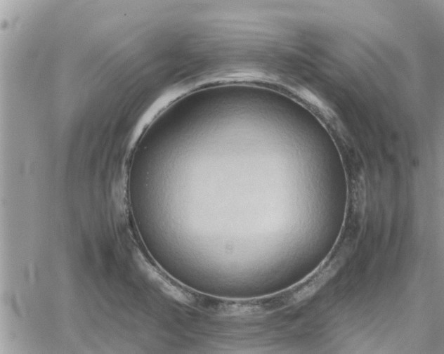 X0000062171374200512121229