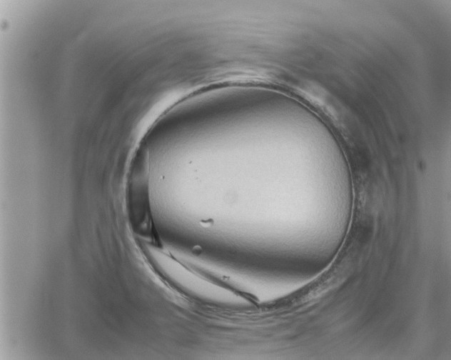 X0000062171375200512121229