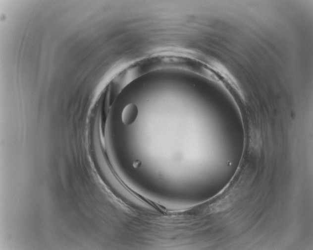 X0000062171376200512121229