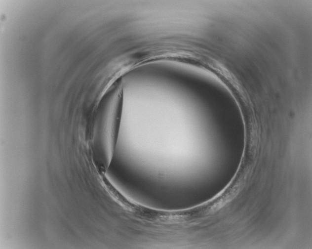 X0000062171377200512121229