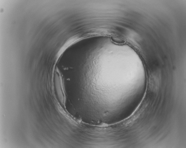 X0000062171378200512121229