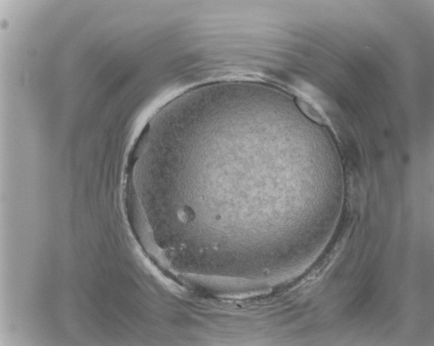 X0000062171379200512121229