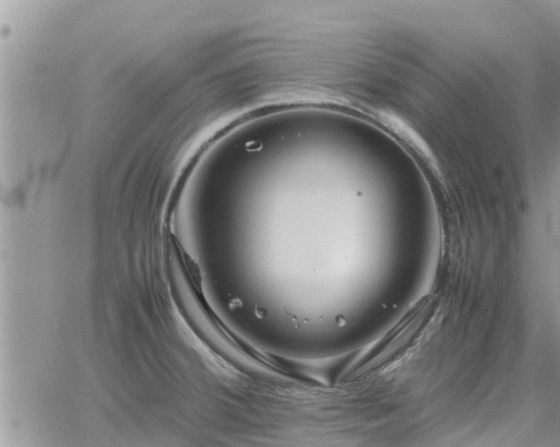 X0000062171380200512121229