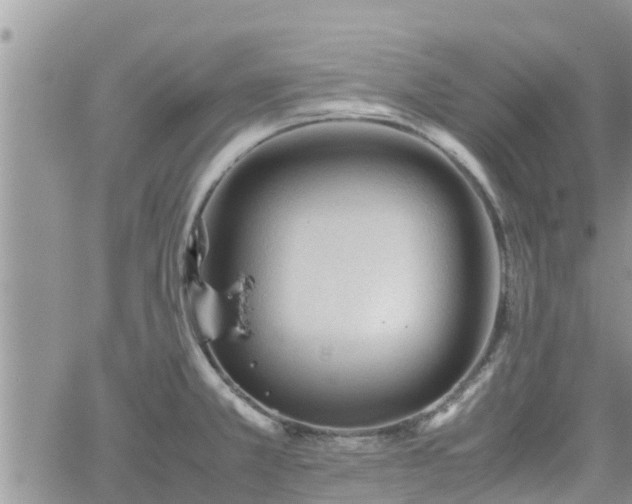 X0000062171381200512121229