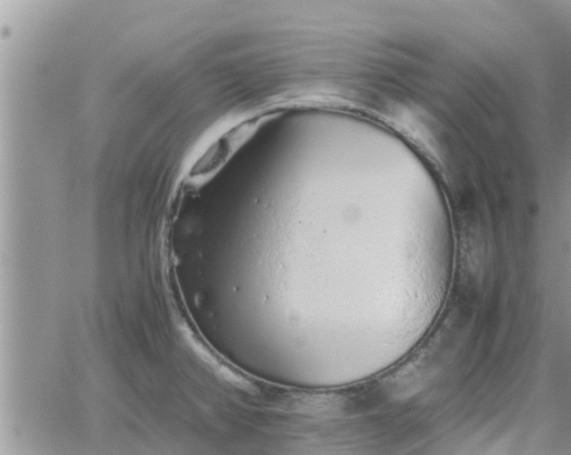 X0000062171382200512121229