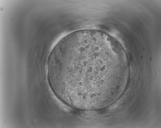 X0000062171383200512121229