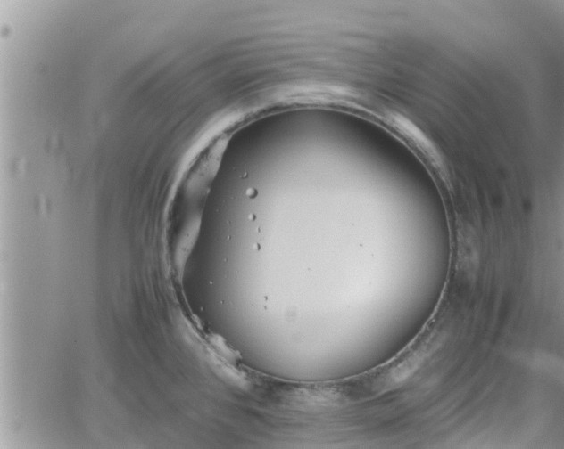 X0000062171384200512121229