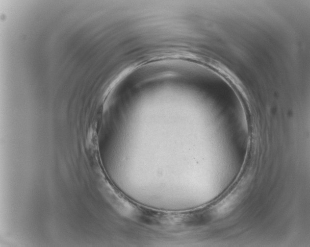 X0000062171385200512121229