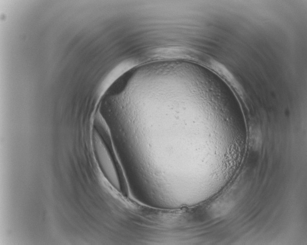 X0000062171386200512121229