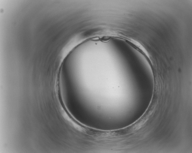 X0000062171387200512121229