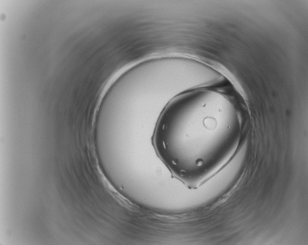 X0000062171388200512121229