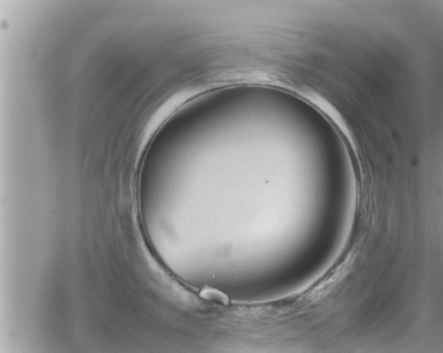 X0000062171389200512121229