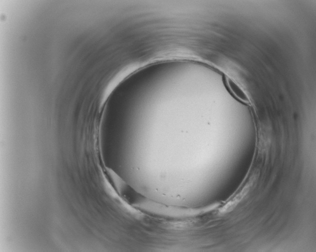 X0000062171390200512121229