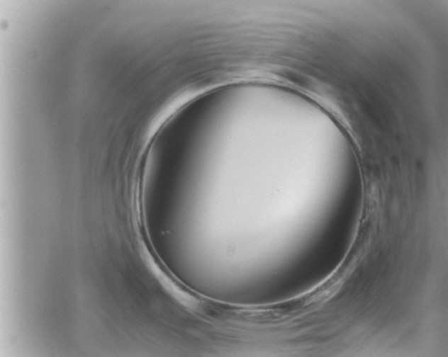 X0000062171391200512121229