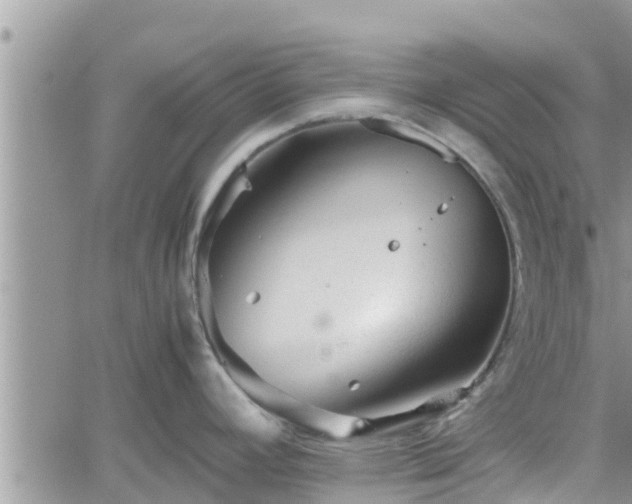 X0000062171392200512121229