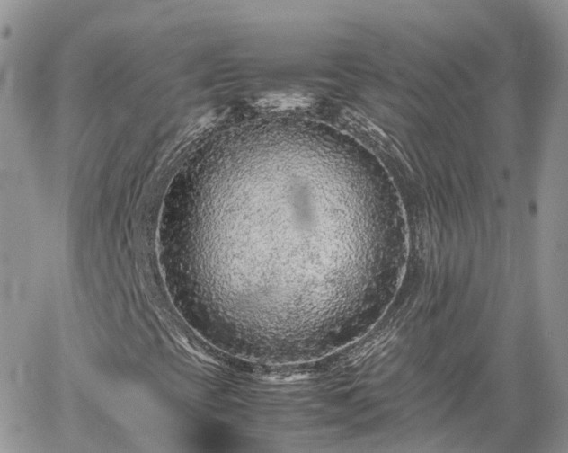 X0000062171393200512121228