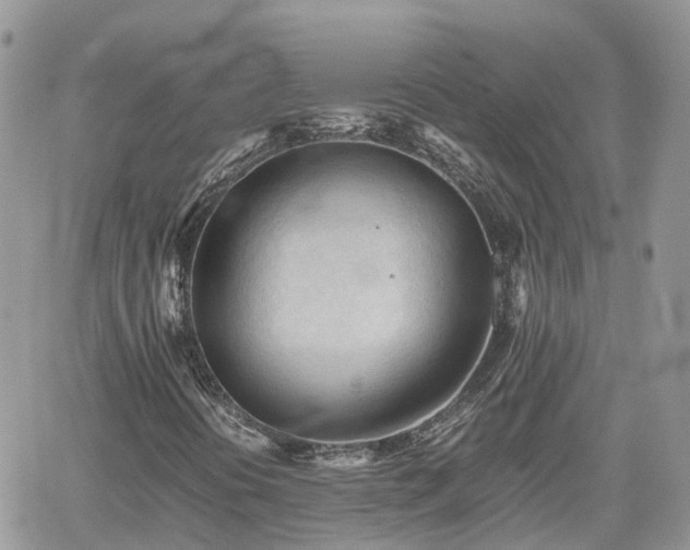 X0000062171394200512121228